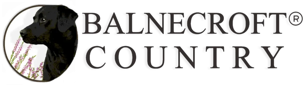 Balnecroft Logo